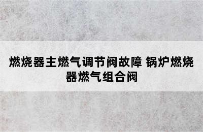 燃烧器主燃气调节阀故障 锅炉燃烧器燃气组合阀